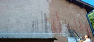 traitement champignons mur limay